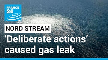 ‘Deliberate actions’ caused Nord Stream gas leak, Danish PM says • FRANCE 24 English