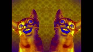 Preview 2 Numa Cat Midi Effects