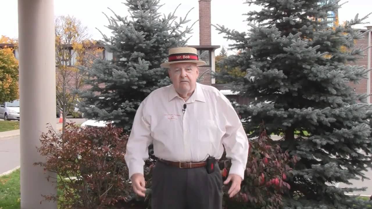 Barrie Network Market - Grow Your Network by Telling Stories