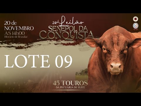 LOTE 09 CONQ 2258