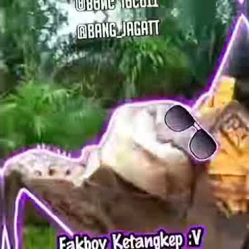 Fakboy Ketangkep | Editor Berkelas | Story Wa Keren