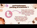 Perkembangan Janin dalam Kandungan@rumahsehataisyah4867 @DrMuftiMushthafaSpOG