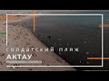 Актау. Солдатский пляж. 15.06.2020. МУРАВЕЙНИК!