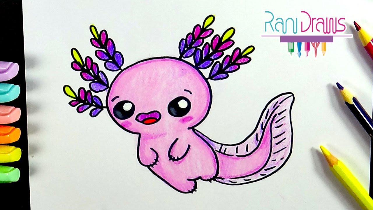 How to draw kawaii AXOLOTL - Step by step easy - thptnganamst.edu.vn