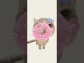 Tailog – Pet Diary &amp; Tracker