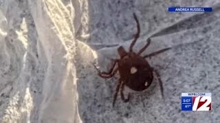 79 cases of alpha-gal syndrome confirmed in Rhode Island