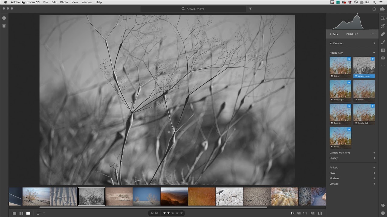 free adobe lightroom profiles