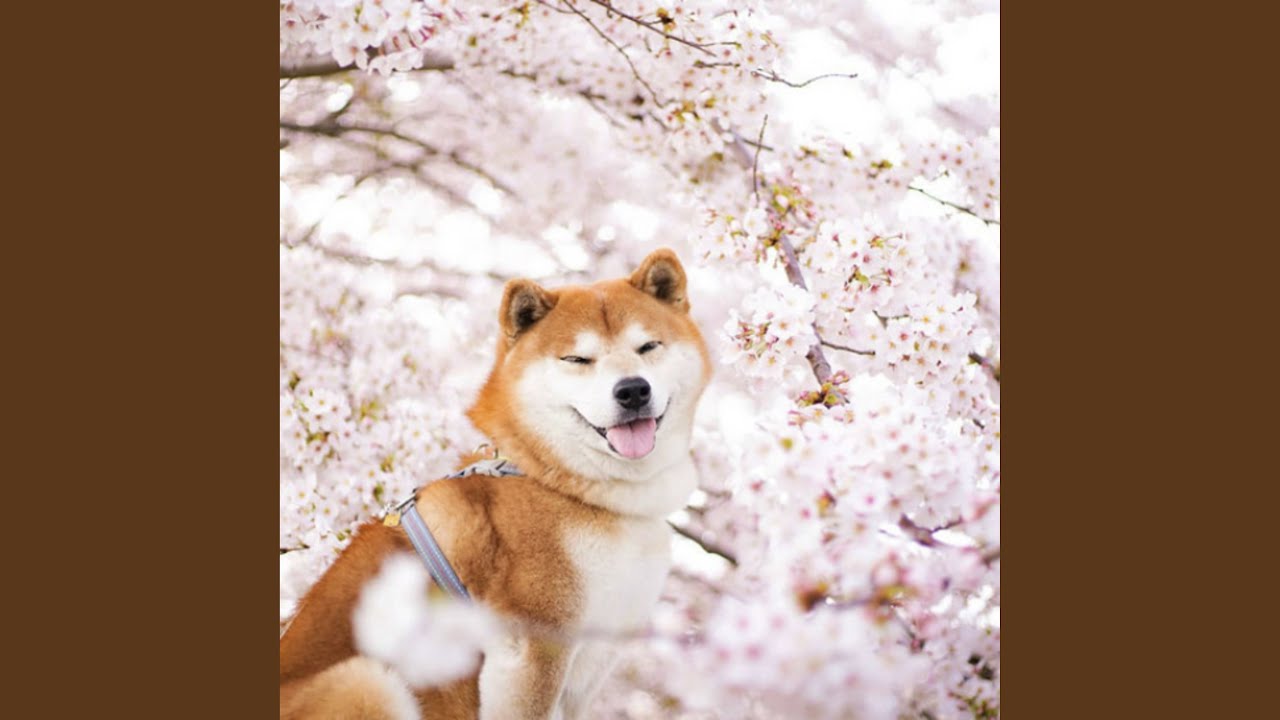 Unhinged Burning Joy