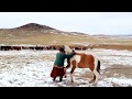 Mongolian Horsemen in action