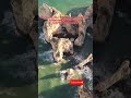 🌅Algarve, Portugal in 4K | Secret Beaches, Ocean Arches & Crystal Waters #shorts