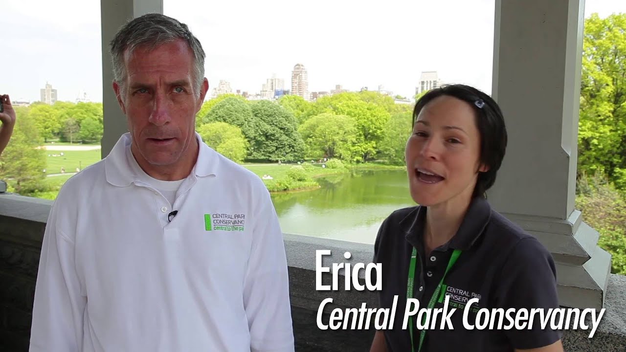 Best Buddies Jobs: New York