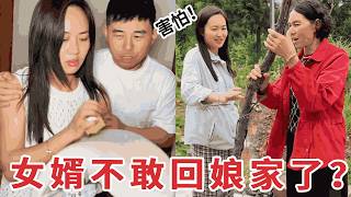 【超小厨】夫妻俩吵架，吓得女婿不敢回娘家？结果却让人太意外了