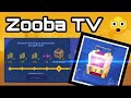 Zooba tv problem solved 