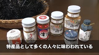 【鹿児島県】特産品でもあり敵にもなる鹿児島県阿久根市のウニ｜ソーシャルイノベーションニュース