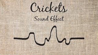 Crickets Sound Effect