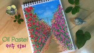 오일파스텔로 제주도 장미꽃밭 그리기, Drawing a rose garden with oil pastels.