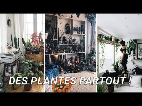 Vidéo: Qu'est-ce qui est fait de plantes?