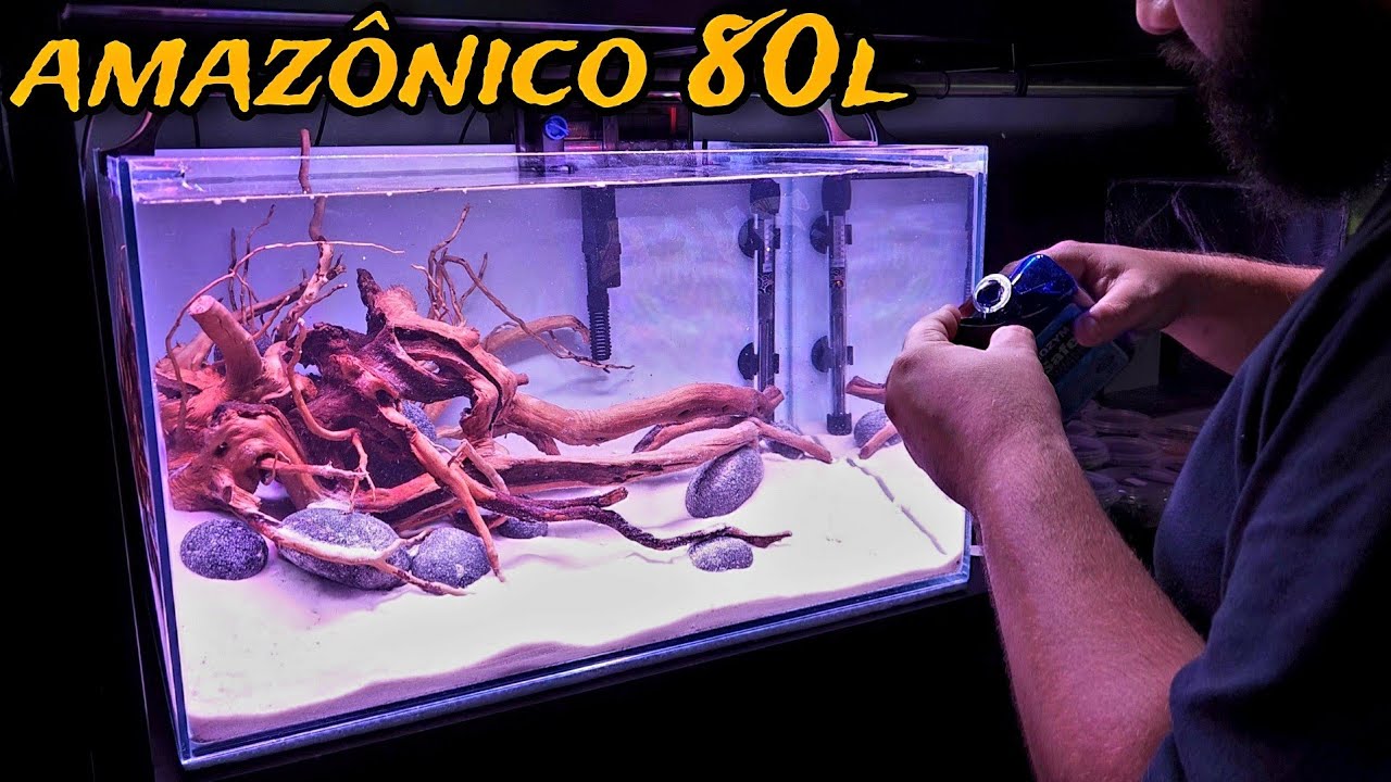 MONTANDO UM AQUÁRIO AMAZÔNICO DE 80L