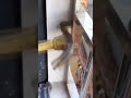 How to install threaded nails flat round self-adapted cement steel nails galvanized threads