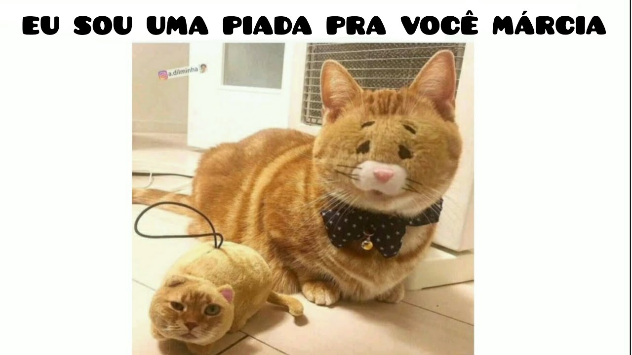 MELHORES MEMES EM IMAGENS - eu sou uma piada pra você Márcia | Memes ...