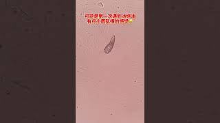 活络油秒杀螨虫杀螨神器除螨