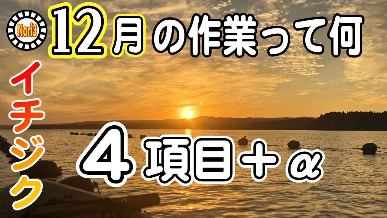 【イチジク】12月の作業って何？