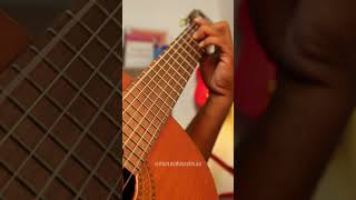 Vídeo de Xotinho Bom