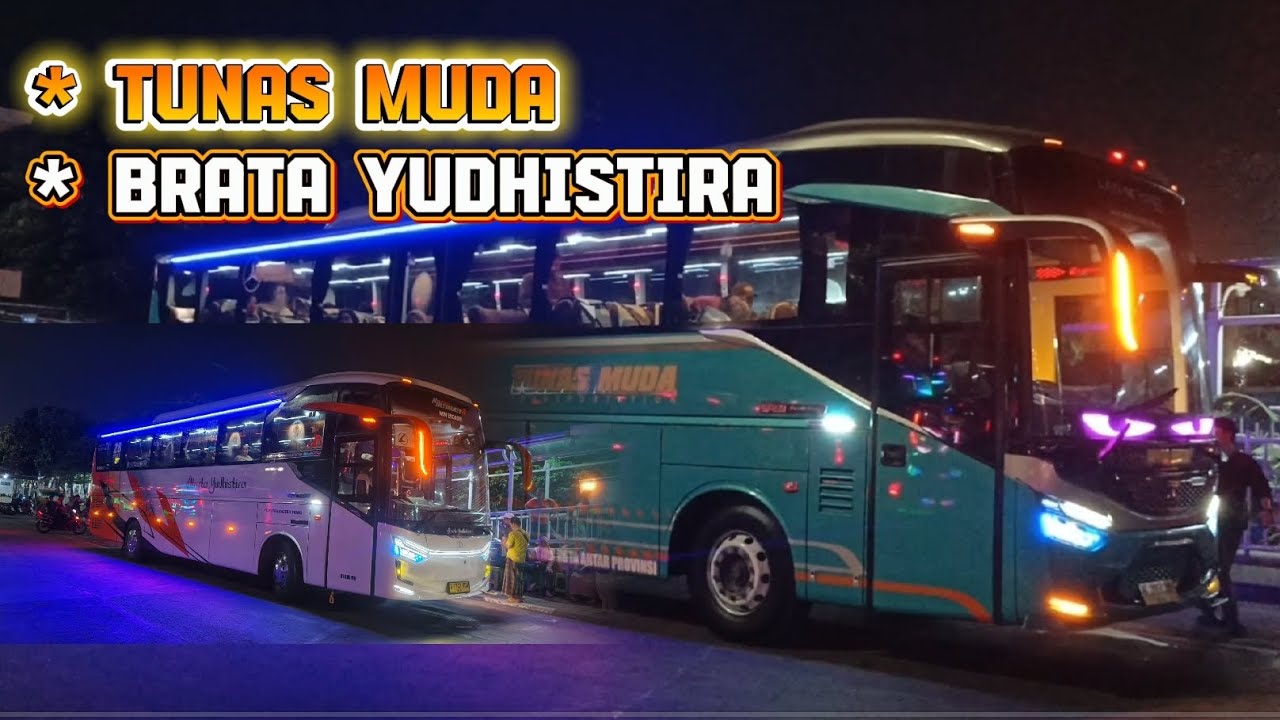 TUNAS MUDA. BRATA YUDHISTIRA ‼️ HUNTING BUS TERMINAL TJ PRIOK