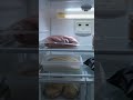 What If Netflix Adapted “The Refrigerator at Midnight”?
