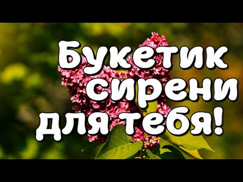 Доброе утро! Я тебе на удачу букетик сирени подарю!