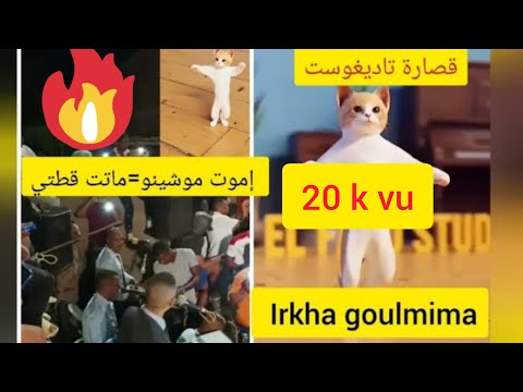 إموت موشينو قصارة تاديغوست  