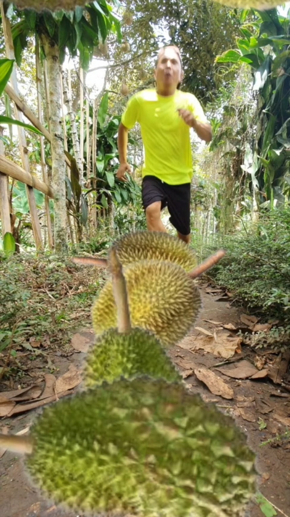 Durians Fall While Im Running In The Forest #magic #entertainment