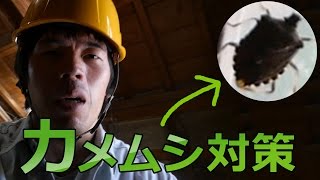 カメムシの恐怖…というわけで対策してみた。
