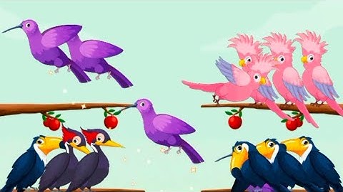 Birds Puzzle Game/ Birds Sort /Birds colour match game