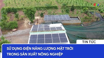 Sử dụng điện năng lượng mặt trời trong sản xuất nông nghiệp | BTV - TRUYỀN HÌNH BÌNH DƯƠNG