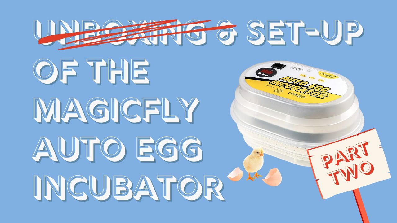 Magicfly Auto Egg Incubator SetUp Video Take 2 YouTube