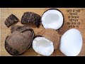 2 Simple Ways To Break Coconut In Minutes | नारियल छीलने के दो आसान तरीके -Food Connection