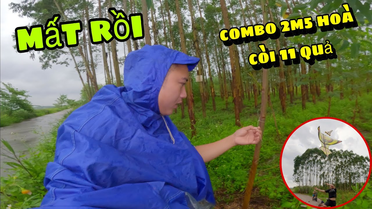 Ba Sói TV | Bị mất combo diều sáo 2m5 cùng dàn hoà còi 11 quả khi đang chiến Bão MatMo