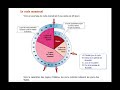 cycle menstruel: durée du cycle, date de l'ovulation et fenêtre de fécondité