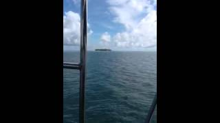 Niatiputapu- Tonga