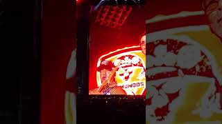 Raimundos - Guns n Roses - Florianópolis - 21/10/25 - Palhas do coqueiro - Puteiro em João Pessoa 