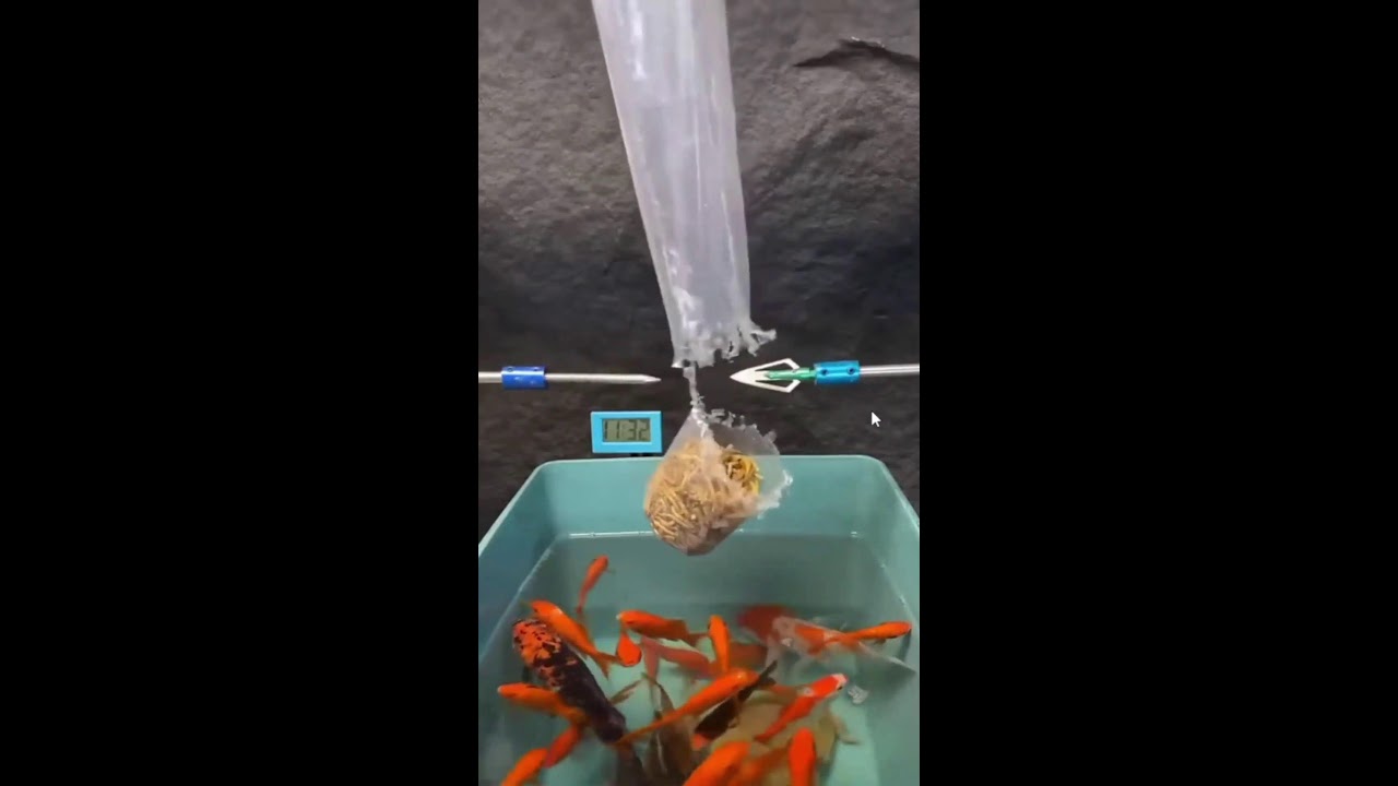 ИГРАЕМ НА СТРИМЕ ШОРТС