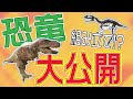 オダイバ恐竜博覧会2024 恐竜の組み立て 大公開 