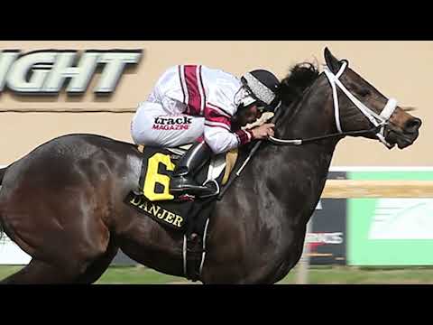 2024 Hall Of Fame Inductee Horse Danjer