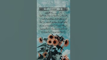 تلاوة هادئة لسورة القارعة