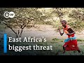 Worst locust outbreak in decades threatens East Africa | DW News