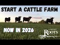 Start Raising Cattle In 2026 Make Smart Decisions