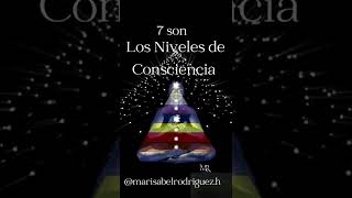 7 son los planos de Existencia 7 son los niveles de conciencia