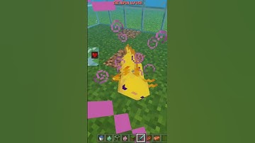 MINECRAFT PE MYTHS THAT ARE INSANE 🤯 | The Nipun Aayush | short | Minecraft