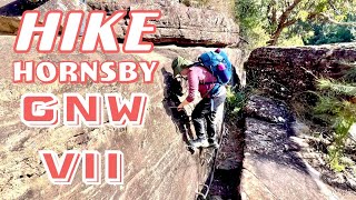 Great North Walk Gnw Vii Hornsby To Galston Gorge